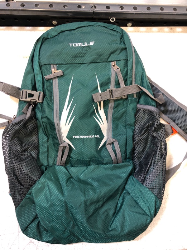 Photo 1 of GREEN BACKPACK 