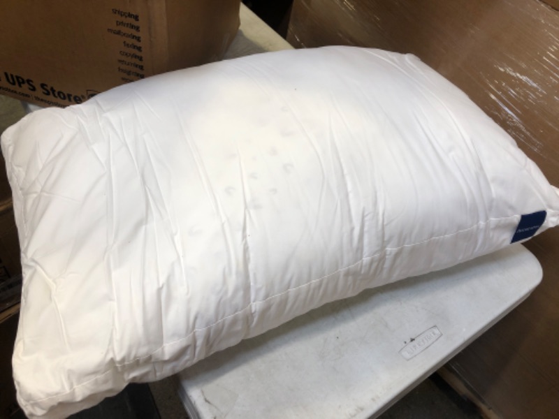Photo 1 of  Fill Power White Down and Feather Sleep Pillow
