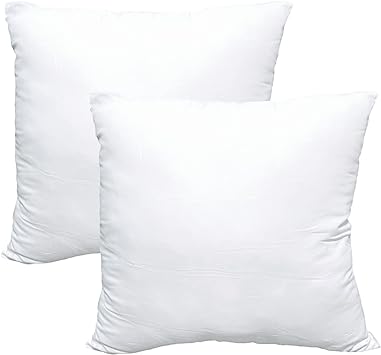 Photo 1 of  Luxury Set of 2 Throw Pillow Inserts, 18 x 18