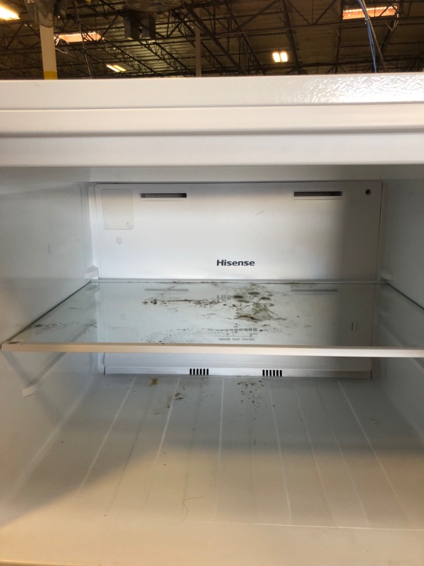 Photo 9 of Hisense 18-cu ft Top-Freezer Refrigerator (White)