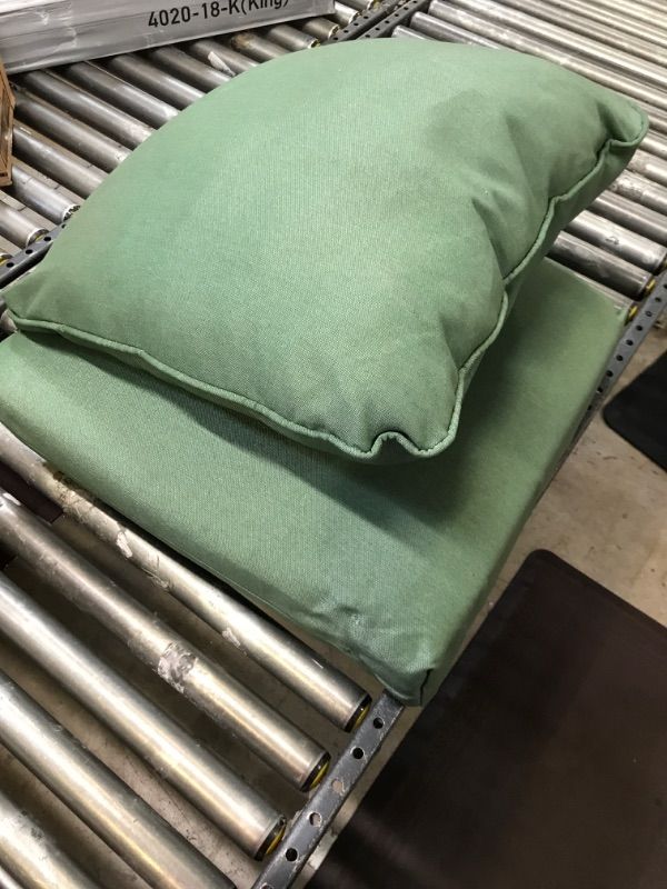 Photo 1 of 24 in. x 22 in. CushionGuard Deep Seating Outdoor Lounge Chair Cushion in Endive
