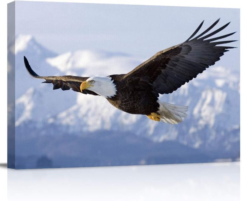 Photo 1 of 
Canvas Wall Art - Flying Eagle Pictures - Modern Wall Decor Gallery Canvas Wraps Giclee Print Stretched and Framed Ready to Hang - 24" x 36"