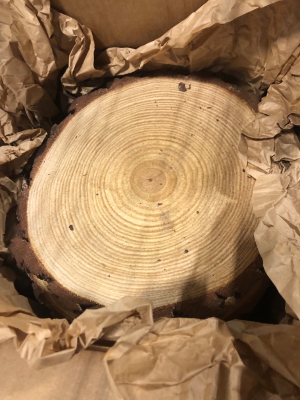 Photo 1 of Set of (10) 11-12 inch Wood Slices for centerpieces! Wood Slice centerpieces, Wood Rounds, Tree Slices (11 inch)
