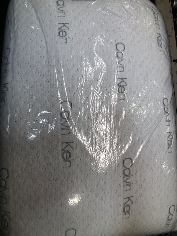 Photo 3 of Calvin Klein Tossed Kiwi Leaf Euro Pillows