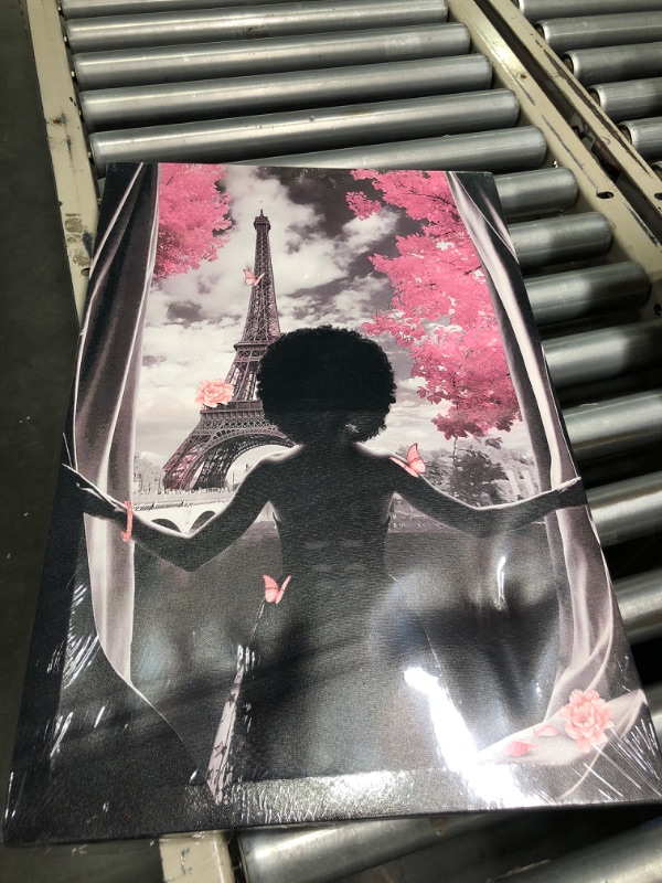 Photo 1 of African American Wall Art Black Girl Pink Flowers Canvas Prints Modern Black and White Wall Art Fashion Paris Decoration Pictures Painting Framed Artwork Home Decor for Bedroom Bathroom 16x24inch Black Girl 16x24 inch