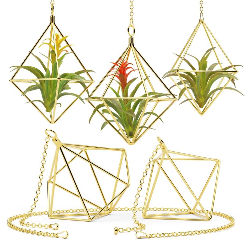 Photo 2 of  Air Plant Holders w/ Hooks & Chains - Indoor Air Plants and Holders Sets , Freestanding & Wall Hanging Planters - 5 Geometric Shapes Air Plant Holder - Hanging Air Plant Holder