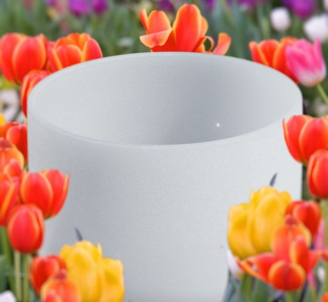 Photo 1 of 10" E 432hz Garden Frosted Crystal Singing Bowl
