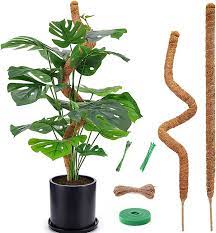 Photo 1 of 2 Pack 25'' Moss LIKE Coir Poles for Plants Monstera, Bendable for Moss Coir Pole Plant Lover Gifts, Tall Coco Coir Plant Support for Climbing Plants