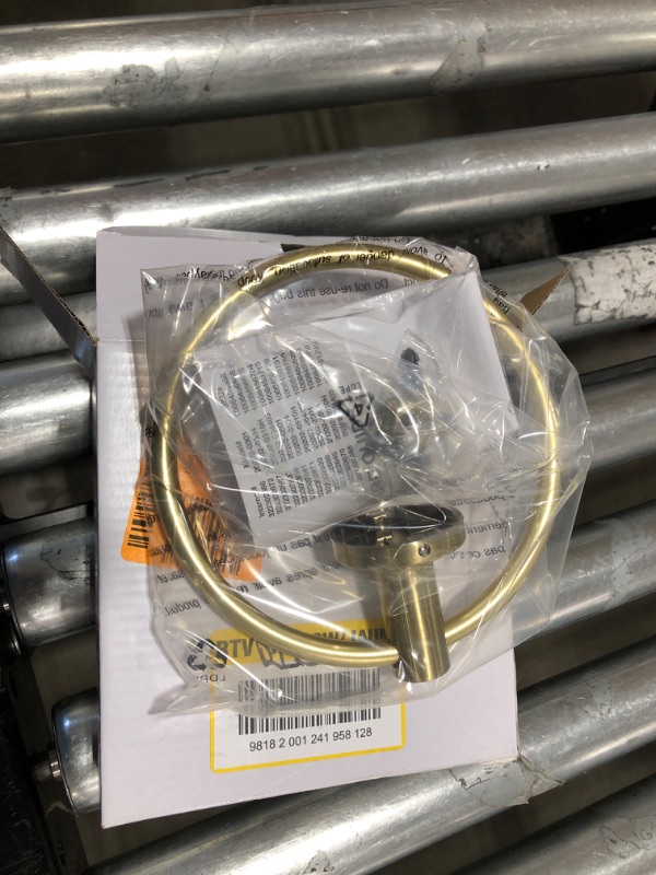 Photo 1 of 
Glacier Bay
Dorind Towel Ring in Matte Gold