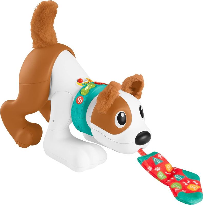 Photo 1 of 
Fisher-Price Baby Learning Toy 123 Crawl With Me Puppy Electronic Dog With Smart Stages Content & Lights For Ages 6+ Months