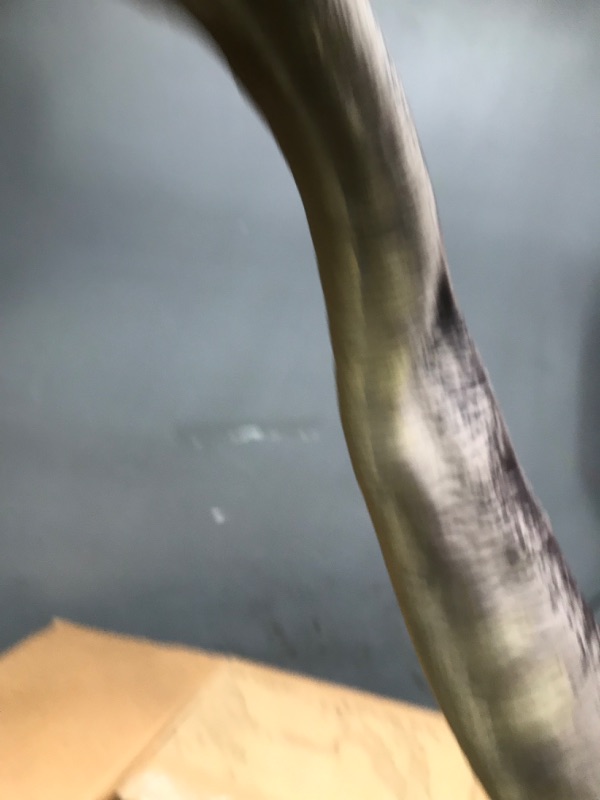 Photo 1 of Jurassic World Legacy Collection Exclusive Brachiosaurus Action Figure