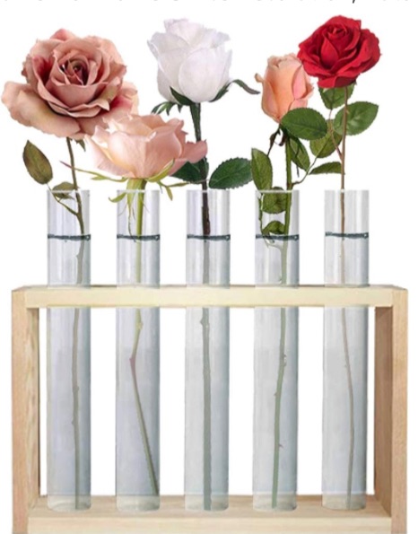 Photo 1 of **SEE NOTES**
Banord Desktop Glass Terrarium, Wall Hanging Glass Planter with 5 Modern Test Tubes in Wood Stand, Tabletop Tube Container for Home Office Decoration, Natural