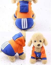 Photo 1 of DOG HOODIE BLUE ORANGE WHITE MEDIUM 