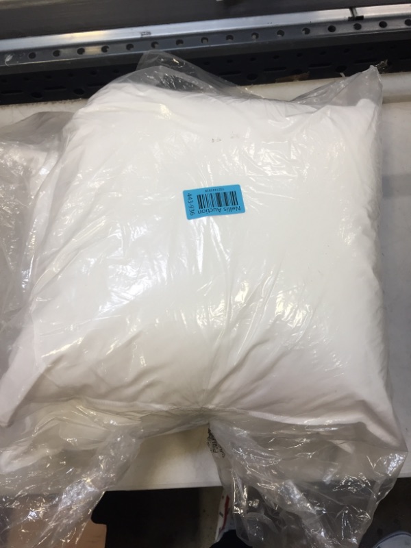 Photo 1 of 2 WHITE PILLOWS