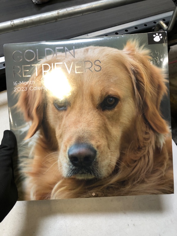 Photo 2 of 2023 Square Wall Calendar, Golden Retriever, 16-Month Paw Prints Theme with 180 Reminder Stickers (12 x 12 In)
