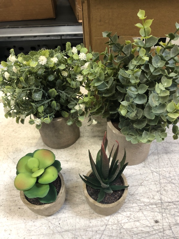 Photo 2 of 4 Pack Small Potted Artificial Plants, Faux Succulent Plants Gypsophila Eucalyptus Plant Pot for Office Desk, Home Bathroom Garden Indoor Decoration