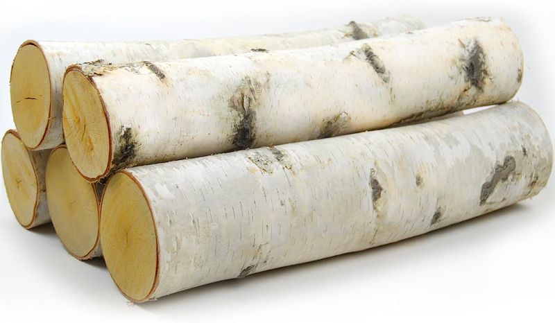 Photo 1 of 
Wilson Large Birch Fireplace Logs, Decorative, Natural Bark Home Décor - 17-18 in Length 3-5 in Dia. (Set of 5)