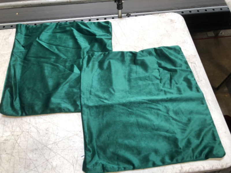 Photo 1 of 2 Pillow Cases Velvet- Green 