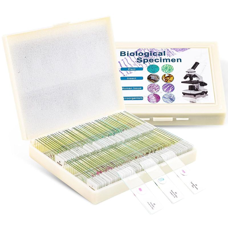 Photo 1 of 100 Prepared Microscope Slides with Specimens for Kids Adults - Bacterium, Fungus, Human Tissues, Mitosis, Plants, Insects, Animals Cells Samples for Biological Science Lab, School Students
