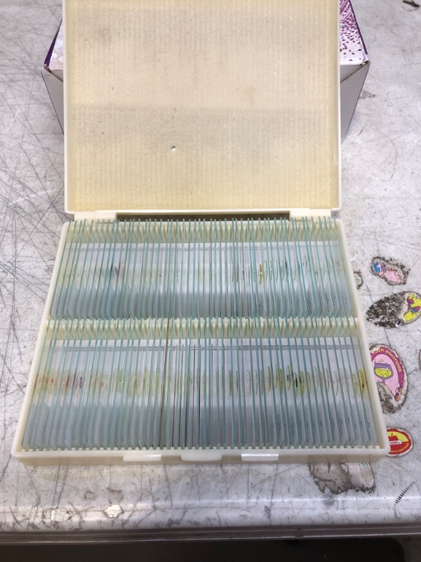 Photo 3 of 100 Prepared Microscope Slides with Specimens for Kids Adults - Bacterium, Fungus, Human Tissues, Mitosis, Plants, Insects, Animals Cells Samples for Biological Science Lab, School Students
