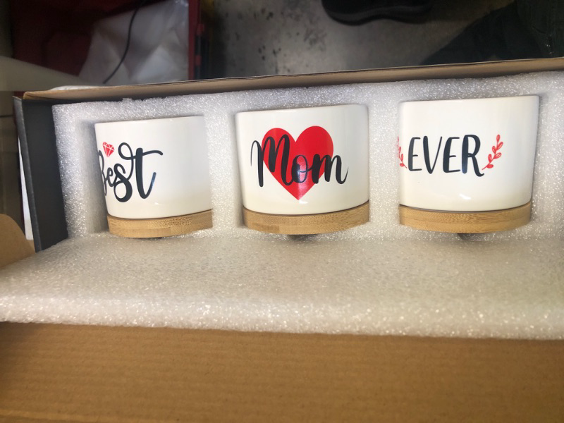 Photo 1 of  Mothers Day or Birthday Gifts for Mom - Pretty Best Mom Ever Mothers Day Plants Pots are Beautiful Mothers Day Gardening Gifts for Mom, The Best Presents and Arrive Beautifully Gift Boxed