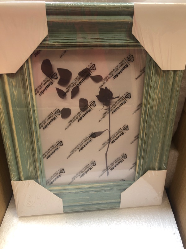 Photo 1 of 3-PACK PICTURE FRAME GREEN 
