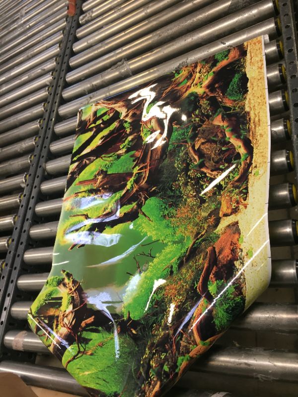 Photo 1 of 23x71inch fishtank background 