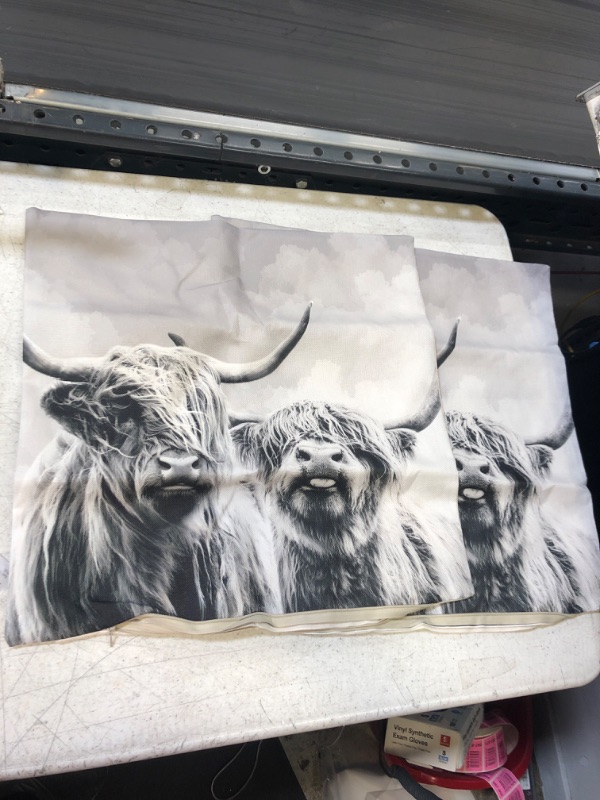 Photo 1 of 2 18 X 18  Grey Cow THROW PILLOW CASE