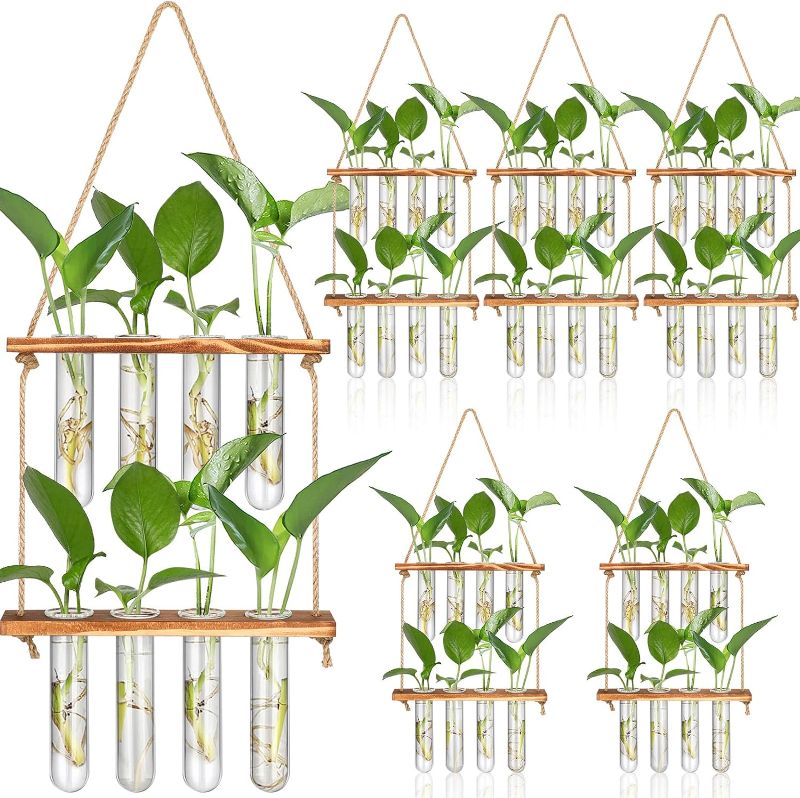 Photo 1 of 6 Pieces Wall Hanging Planter 2 Tiered Propagation with Wooden Stand Glass Planter Test Tube Vase Retro Glass Planter Propagation for Hydroponic Plant Flower Cutting Wall Garden Decor
