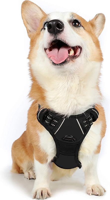 Photo 1 of RABBITGOO-  Dog Harness, No-Pull Pet Harness with 2 Leash Clips, Adjustable Soft Padded Dog Vest, Reflective No-Choke Pet Oxford Vest with Easy Control Handle for Large Dogs, Black, M
