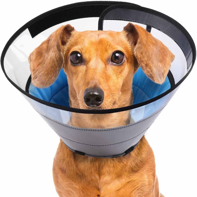 Photo 1 of MANIFICENT- Dog Cone for Large Medium Small Dogs Alternative After Surgery,Adjustable Dog Recovery Collar for Pets,Soft Elizabethan Collar,Prevent Licking Wounds
