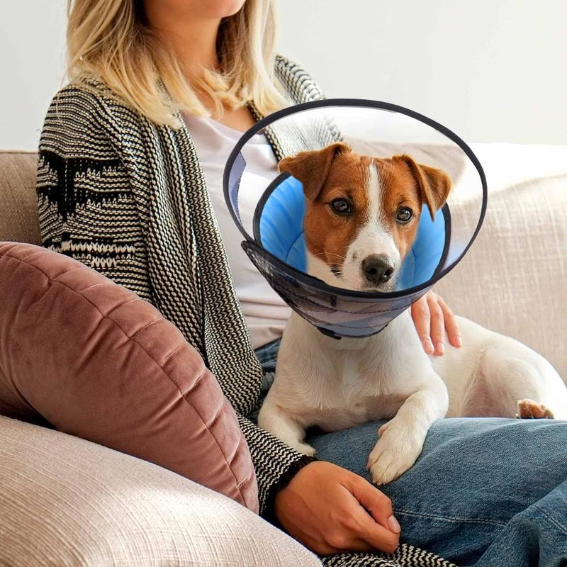 Photo 3 of MANIFICENT- Dog Cone for Large Medium Small Dogs Alternative After Surgery,Adjustable Dog Recovery Collar for Pets,Soft Elizabethan Collar,Prevent Licking Wounds
