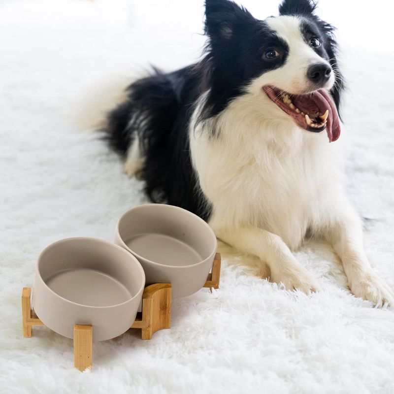 Photo 3 of 15° Slanted Ceramic Dog and Cat Bowl with Wooden Stand, Tilted Bulldog Food and Water Bowl No Slip Non-Spill for Cats Medium Dogs Big Face Pets 28.7 OZ (3.6 Cups, Grey × 2)
