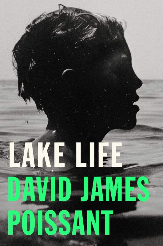 Photo 1 of Lake Life: A Novel Hardcover – July 7, 2020