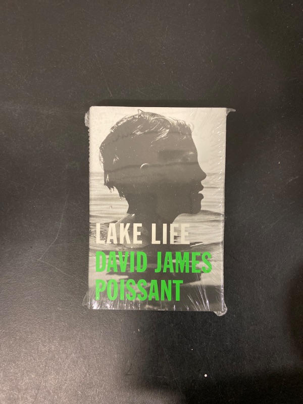 Photo 2 of Lake Life: A Novel Hardcover – July 7, 2020