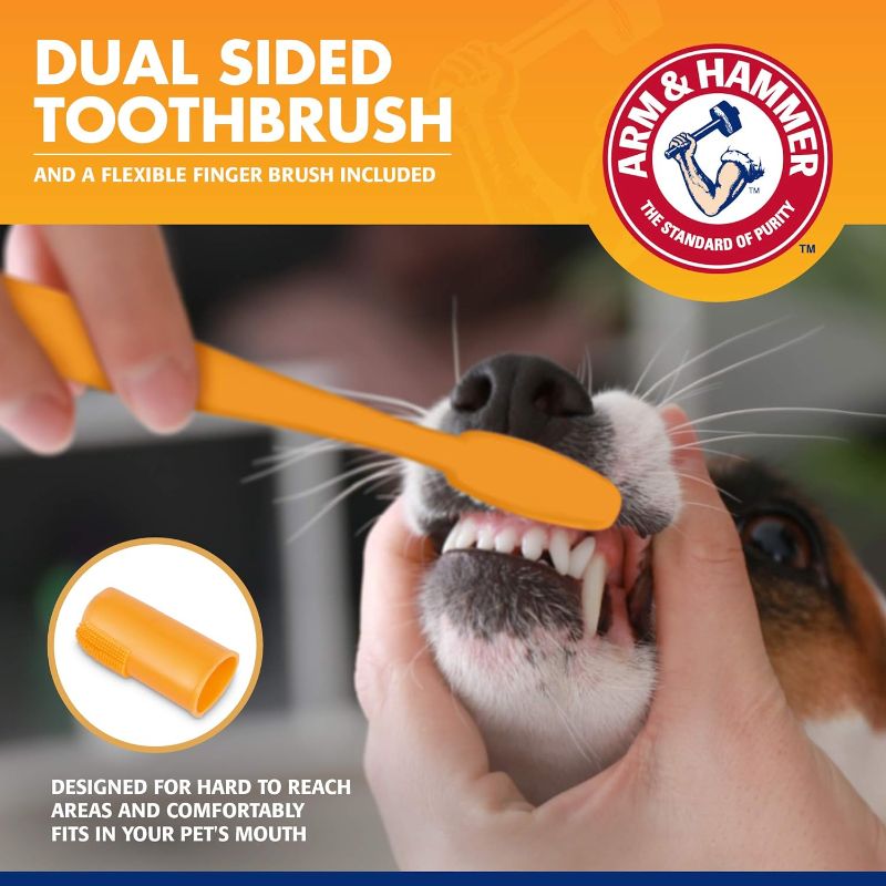 Photo 3 of Arm & Hammer for Pets Tartar Control Kit for Dogs | Contains Toothpaste, Toothbrush & Fingerbrush | Reduces Plaque & Tartar Buildup | Safe for Puppies, 3-Piece , Beef Flavor
