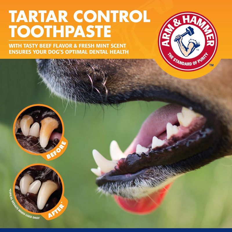 Photo 2 of Arm & Hammer for Pets Tartar Control Kit for Dogs | Contains Toothpaste, Toothbrush & Fingerbrush | Reduces Plaque & Tartar Buildup | Safe for Puppies, 3-Piece , Beef Flavor

