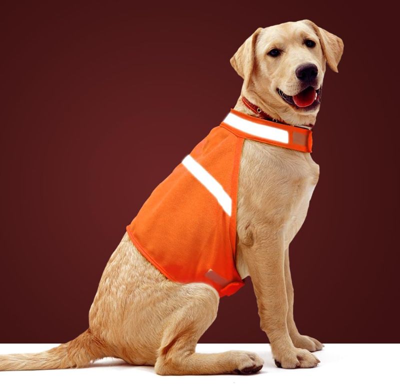 Photo 1 of Dog Jacket High Visibility Safety Reflective Dog Vest for Small Medium Large Dogs (Large, Orange)
