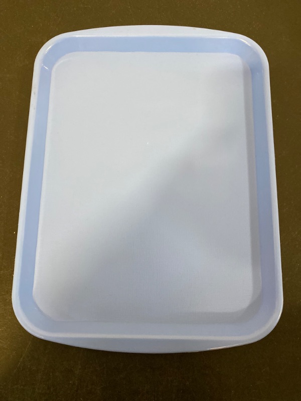 Photo 1 of New Star Food Service -  Blue Plastic Food Serving Tray