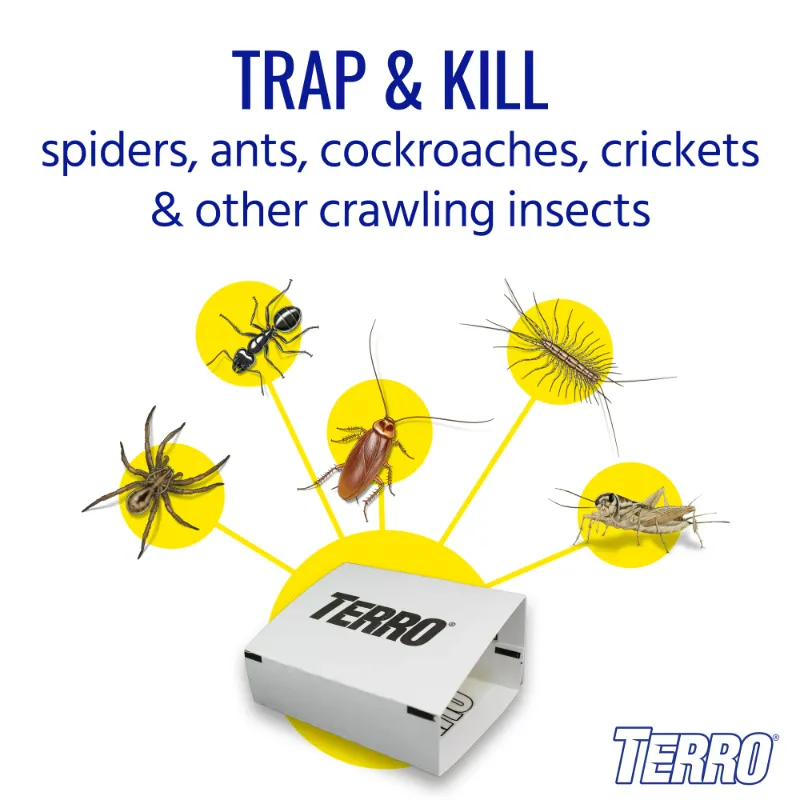 Photo 2 of TERRO Spider & Insect Trap - 4 Traps
