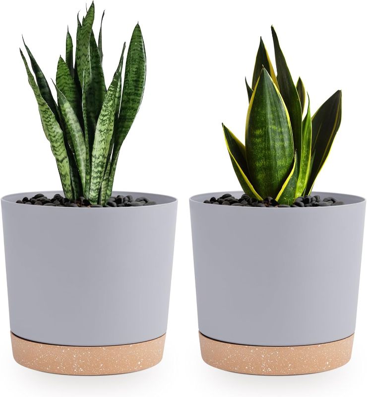 Photo 1 of QCQHDU Plant Pots Set of 2 Pack 6.5 inch,Planters for Indoor Plants with Drainage Holes and Removable Base,Saucer Modern Decorative for Outdoor Garden Planters(Light Grey, 6.5 inch)
