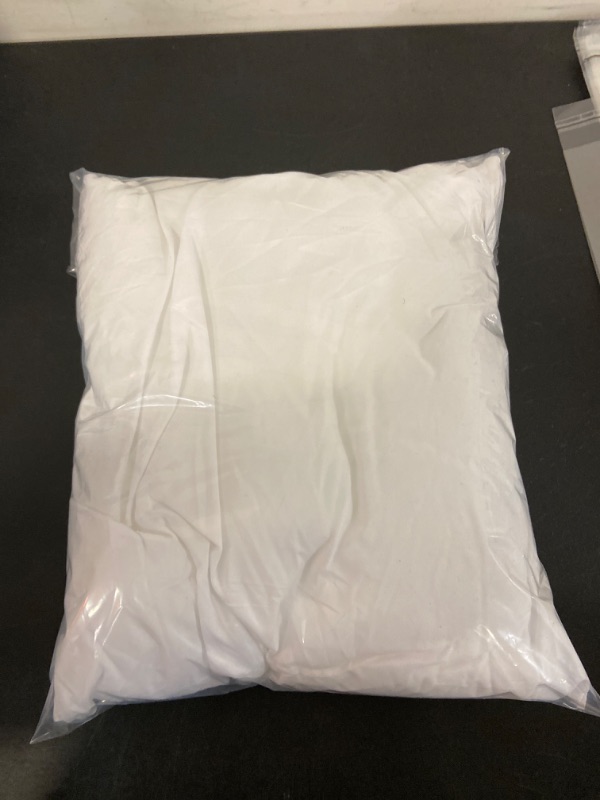 Photo 2 of EDOW Throw Pillow Insert, Lightweight?Soft Polyester Down Alternative Decorative Pillow, Sham Stuffer, Machine Washable. (White, 16x16)
