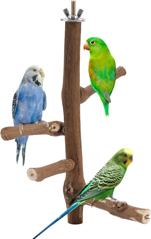 Photo 1 of Natural Wood Bird Perches Parrot Perch Grapevine Birdcage Stands for Parakeets Cockatiels, Conures, Macaws, Lovebirds, Finches