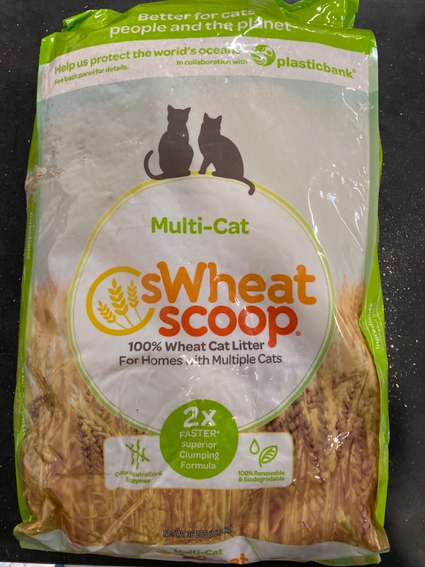 Photo 2 of sWheat Scoop Wheat-Based Natural Cat Litter, Multi-Cat, 36 Pound Bag