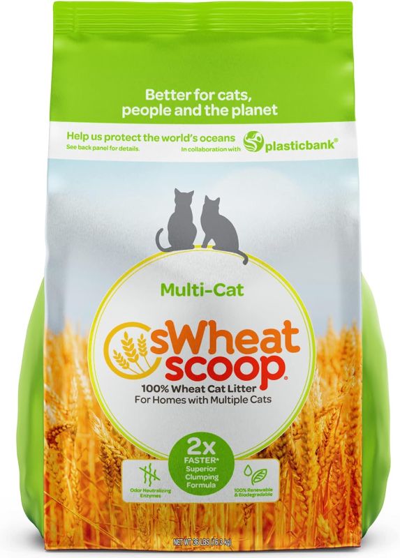 Photo 1 of sWheat Scoop Wheat-Based Natural Cat Litter, Multi-Cat, 36 Pound Bag
