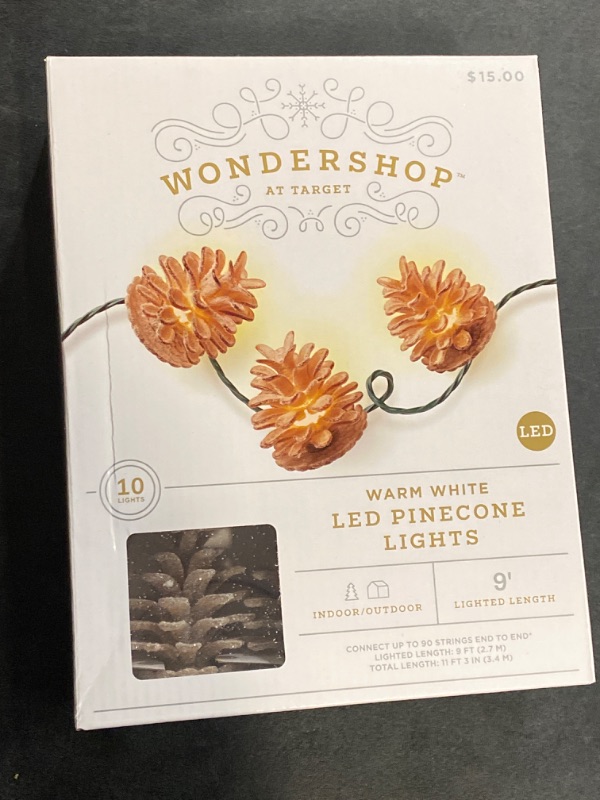 Photo 1 of 10ct Christmas LED String Lights with Sugared Pine cones Warm White GW - Wondershop