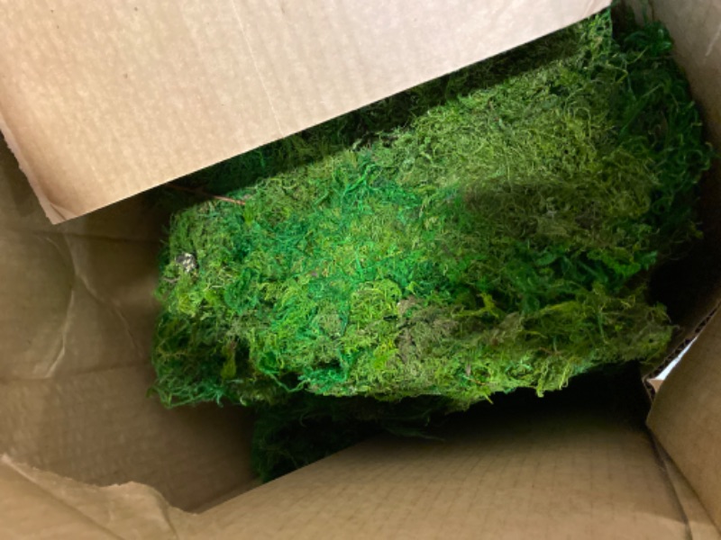 Photo 2 of SuperMoss (25327) Forest Moss Preserved, Fresh Green, 5 Pounds Fresh Green Appx. 10 lb Bulk Case