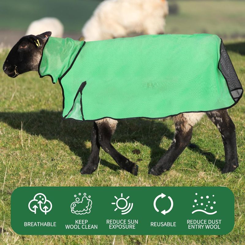 Photo 3 of Sweetude 2 Pieces Sheep Blanket with Mesh Butt and Adjustable Belly Strap, Lightweight Summer Mesh Covers Breathable Sheep Cover Sheep Care Blankets for Show Sheep Lamb (Blue, Green,110-130lbs)