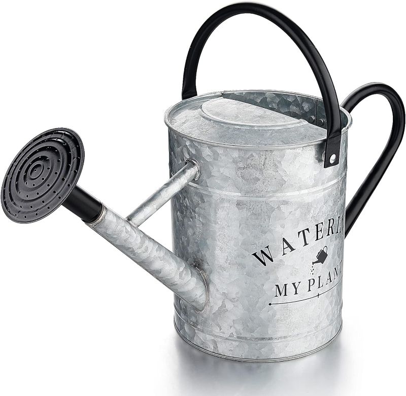Photo 1 of Garutom Galvanized Watering Can for Outdoor Indoor Plants, 1 Gallon Decorative Countryside Style Watering Can with Removable Spout, Perfect Metal Watering Can for Indoor Plants and Garden Flower
