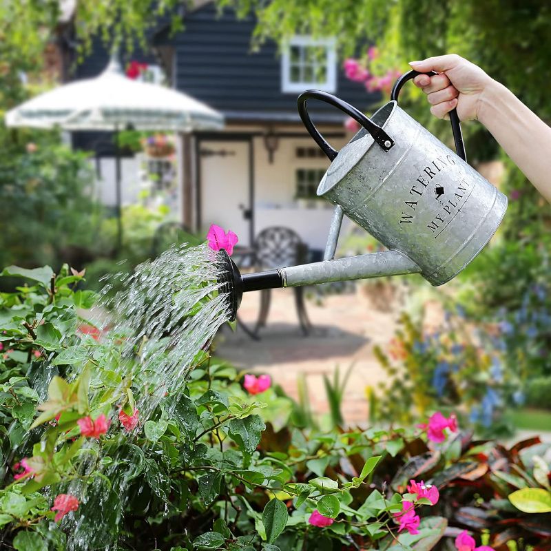 Photo 2 of Garutom Galvanized Watering Can for Outdoor Indoor Plants, 1 Gallon Decorative Countryside Style Watering Can with Removable Spout, Perfect Metal Watering Can for Indoor Plants and Garden Flower
